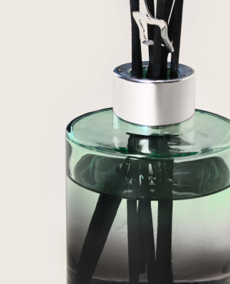 Аромадиффузор Лилли зеленый с ароматом Дикие земли 115мл